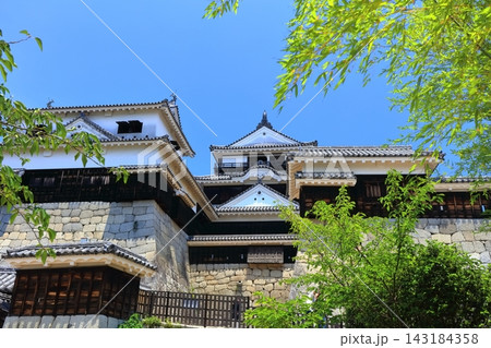 【愛媛県】松山城（現存12天守） 143184358