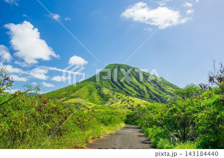 《ハワイの風景》ココヘッド　Koko Head 143184440