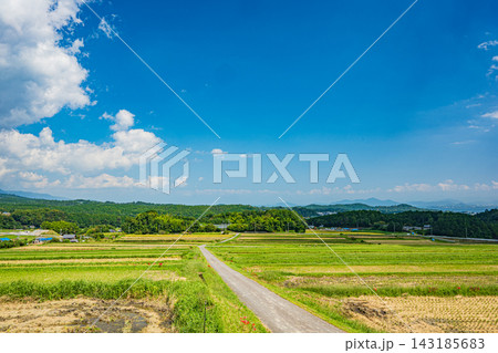 湖西地方の景勝地伊香立の棚田風景 滋賀県大津市 湖西地方の景勝地伊香立の棚田風景 滋賀県大津市 143185683