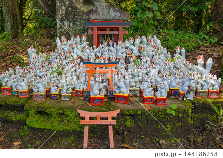 扇森稲荷神社 143186258