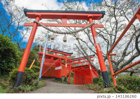 扇森稲荷神社の鳥居 扇森稲荷神社の鳥居 143186260