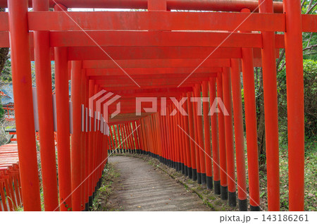 扇森稲荷神社の鳥居 143186261