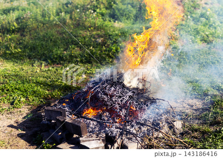 Outdoor bonfire wood pile burning with tall orange flames, white smoke, and glowing embers in grassy clearing under daylight 143186416