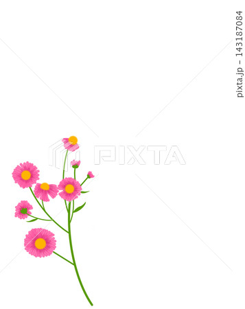 名も無き野の花と大きな余白の縦長イラスト 143187084