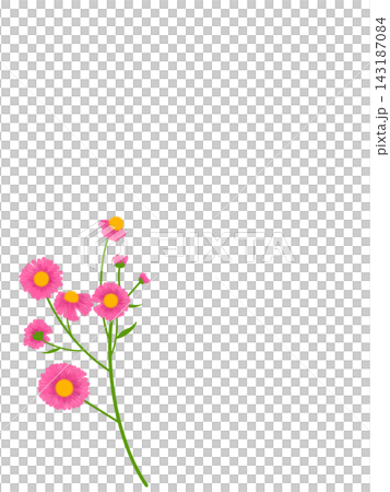 名も無き野の花と大きな余白の縦長イラスト 143187084