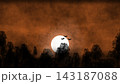 Warm orange night scene with a bright full moon, layered forest silhouettes, flying bats, and a textured atmospheric sky. 143187088