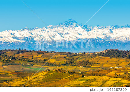 The snow-capped Alps and Monviso peak rise behind the rolling hills with autumnal vineyards in Italy 143187299