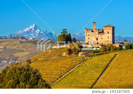 Grinzane Cavour and autumn vineyards with snow-capped Monviso Alps peak, Langhe, Piedmont, Italy 143187305