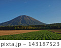 じゃがいも畑　羊蹄山 143187523
