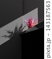 A flower in a mug 143187563