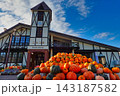 ニセコ駅　かぼちゃ 143187582