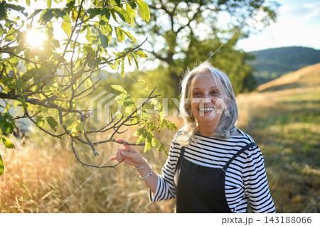 Senior woman enjoying gentle outdoor activity and connection with nature. 143188066