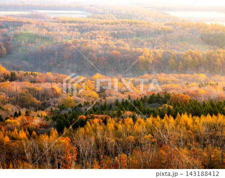 穏やかな秋の朝日を浴びる北海道中標津町開陽台からの紅葉風景 143188412