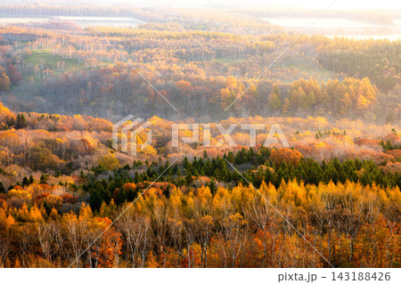穏やかな秋の朝日を浴びる北海道中標津町開陽台からの紅葉風景 143188426