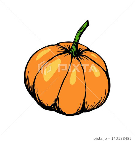 Hand-drawn color vector illustration. Orange pumpkin isolated on white background. For seasonal design, autumn harvest, farm vegetables. 143188483