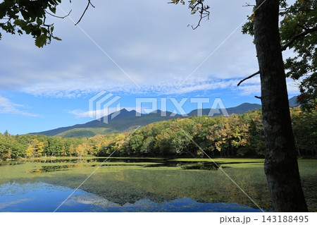 知床五湖の紅葉 Autumn foliage at the Shiretoko Five Lakes 143188495