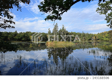 知床五湖の紅葉 Autumn foliage at the Shiretoko Five Lakes 143188506