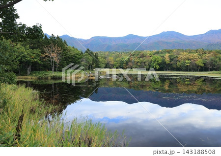 知床五湖の紅葉 Autumn foliage at the Shiretoko Five Lakes 知床五湖の紅葉 Autumn foliage at the Shiretoko Five Lakes 143188508