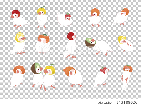 A set of illustrations of white Java sparrows wearing December fruit-themed head coverings, with outlines. A set of illustrations of white Java sparrows wearing December fruit-themed head coverings, with outlines. 143188626