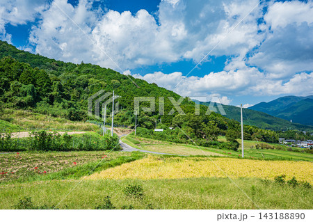 湖西地方の景勝地伊香立の棚田風景 滋賀県大津市 湖西地方の景勝地伊香立の棚田風景 滋賀県大津市 143188890