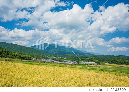 湖西地方の景勝地伊香立の棚田風景 滋賀県大津市 湖西地方の景勝地伊香立の棚田風景 滋賀県大津市 143188899