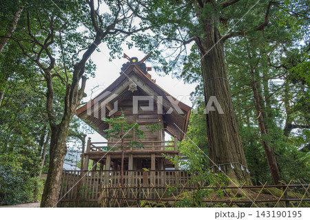 島根 須佐神社 御神木と本殿 島根 須佐神社 御神木と本殿 143190195