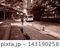 木陰の道 143190258