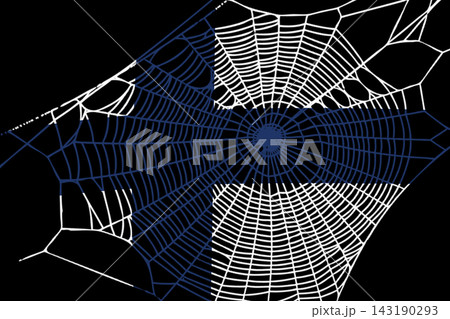 3D Flag on spider web 143190293