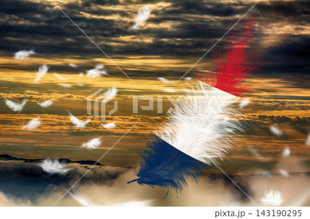 3D Flag on feathers 143190295