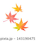 秋の紅葉の水彩イラスト。シンプルなクリップアート 143190475