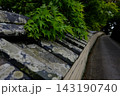 塀の上の苔むした瓦と紅葉前の紅葉 143190740