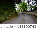 塀に囲まれた石畳の道を歩く 143190743