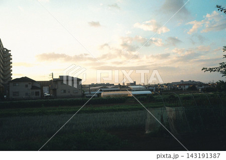 夕焼けの空と畑のある風景 夕焼けの空と畑のある風景 143191387
