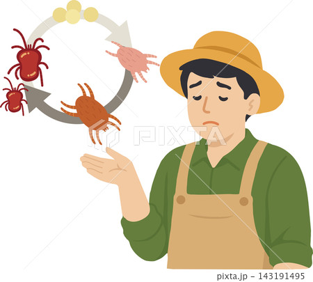 Sad Farmer and Red Spider Mite Life Cycle Agricultural Pest Vector Illustration Sad Farmer and Red Spider Mite Life Cycle Agricultural Pest Vector Illustration 143191495