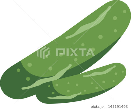 Fresh Cucumber Ripe Green Vegetable with Leaves Vector Illustration Fresh Cucumber Ripe Green Vegetable with Leaves Vector Illustration 143191498