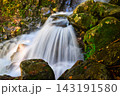 長野県の阿寺渓谷の滝 143191580