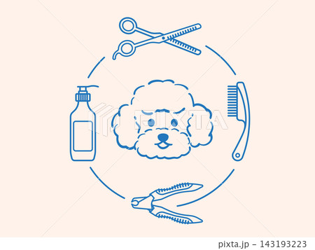 Poodle dog face surrounded by grooming tools including clippers, brush, comb, and scissors. Vector illustration representing pet hygiene, fur care, styling, and professional grooming services. 143193223