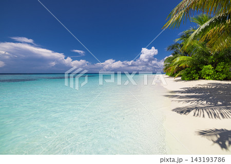 Coconut palms shading powdery white shore vivid turquoise lagoon blue sky bright tropical island. Scenic travel wanderlust vista. Exotic explore dream destination Coconut palms shading powdery white shore vivid turquoise lagoon blue sky bright tropical island. Scenic travel wanderlust vista. Exotic explore dream destination 143193786