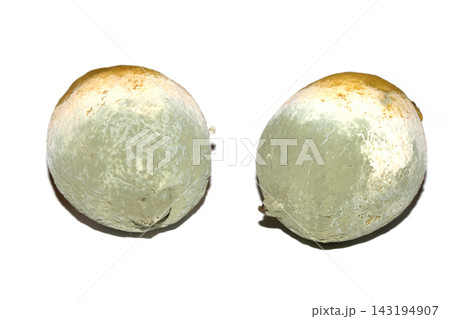 A mouldy unedible rotten lemon fruit on white background A mouldy unedible rotten lemon fruit on white background 143194907