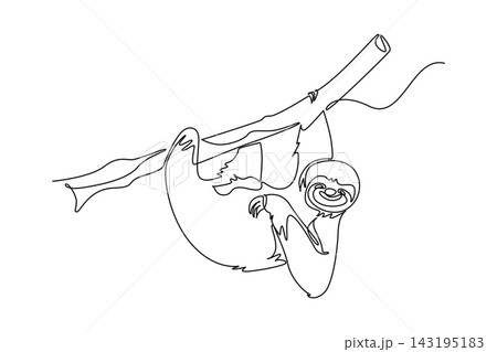 Continuous one line drawing animal sloth hanging upside down from tree branch, tropical rainforest wildlife, slow mammal nature, lazy fauna beauty. Single line draw design vector graphic illustration 143195183