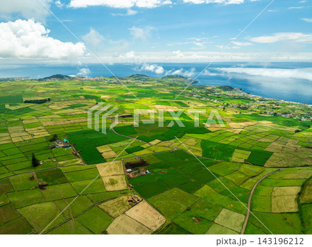 Green Lush Patchwork Fields Sunny Day. Terceira Island, Azores Green Lush Patchwork Fields Sunny Day. Terceira Island, Azores 143196212