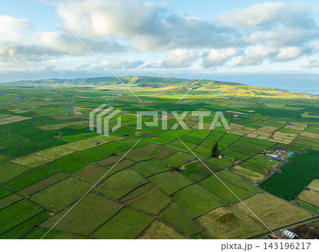 Green Patchwork Fields and Pasturelands. Terceira Island, Azores 143196217