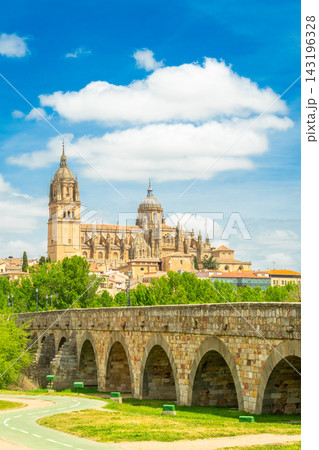 Cathedral of Salamanca and Roman Bridge on Sunny Day. Spain 143196328