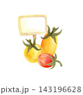 Watercolor yellow tomato, isolated vegetable composition. Juicy ripe vegetables hand-drawn for store and food design 143196628