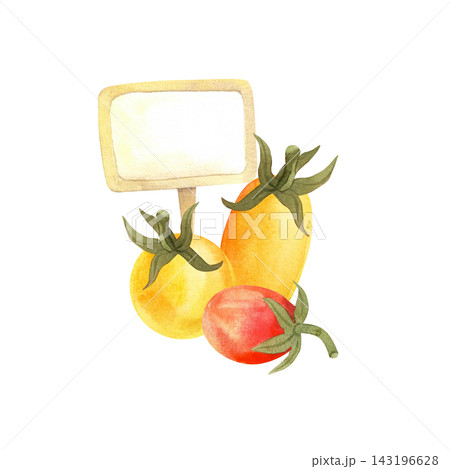 Watercolor yellow tomato, isolated vegetable composition. Juicy ripe vegetables hand-drawn for store and food design Watercolor yellow tomato, isolated vegetable composition. Juicy ripe vegetables hand-drawn for store and food design 143196628