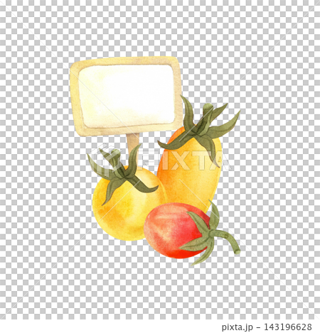 Watercolor yellow tomato, isolated vegetable composition. Juicy ripe vegetables hand-drawn for store and food design Watercolor yellow tomato, isolated vegetable composition. Juicy ripe vegetables hand-drawn for store and food design 143196628