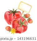 Red tomatoes, isolated watercolor composition. Illustration of juicy, ripe vegetables, hand-drawn for store, food product, and packaging design. 143196631