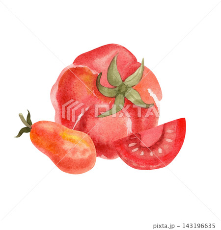 Red tomatoes, isolated watercolor composition. Hand-drawn illustration of juicy, ripe vegetables for store or food-related designs. Red tomatoes, isolated watercolor composition. Hand-drawn illustration of juicy, ripe vegetables for store or food-related designs. 143196635