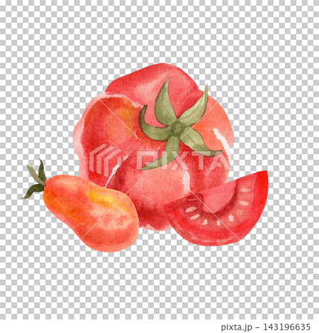 Red tomatoes, isolated watercolor composition. Hand-drawn illustration of juicy, ripe vegetables for store or food-related designs. Red tomatoes, isolated watercolor composition. Hand-drawn illustration of juicy, ripe vegetables for store or food-related designs. 143196635