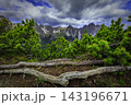 Mountain landscape with alpine pine trees and rocky peaks 143196671
